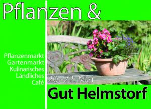 Flyer Pflanzen & Gut Helmstorf 2011