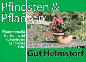 Flyer zu Pfingsten & Pflanzen